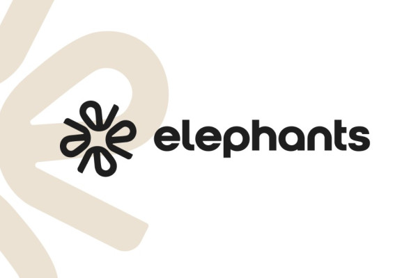 Привлечение инвестиций в AI-платформу для международных финансов МСБ